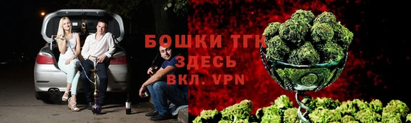 ешки Вязьма