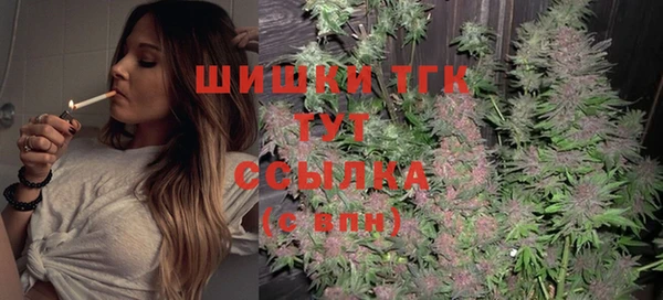 ешки Вязьма